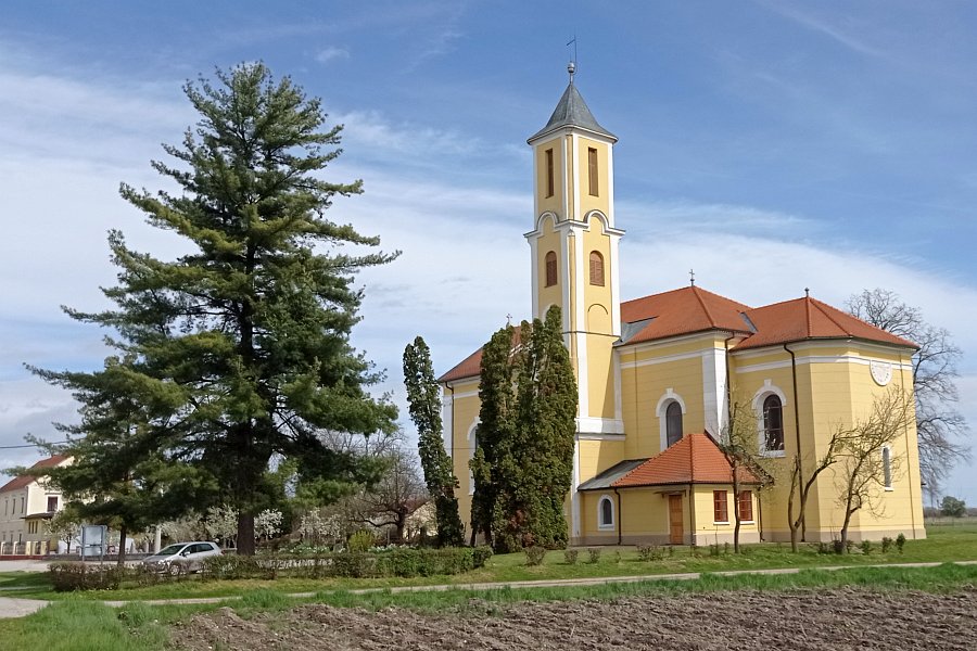 I. Skokić