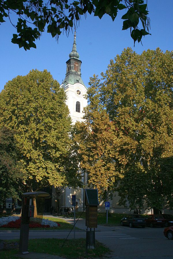 I. Skokić